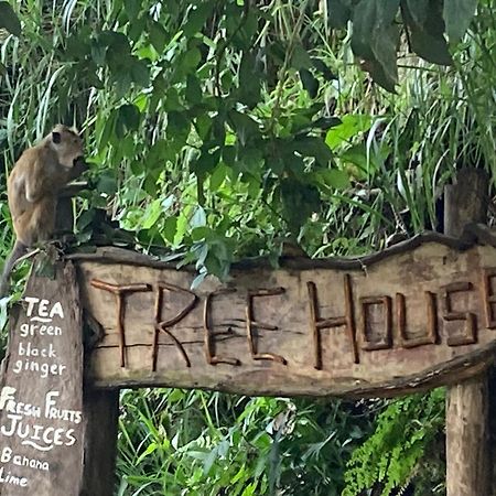 Hotel Ella Treehouse Exterior foto